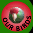 Our Birds
