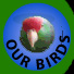 Our Birds